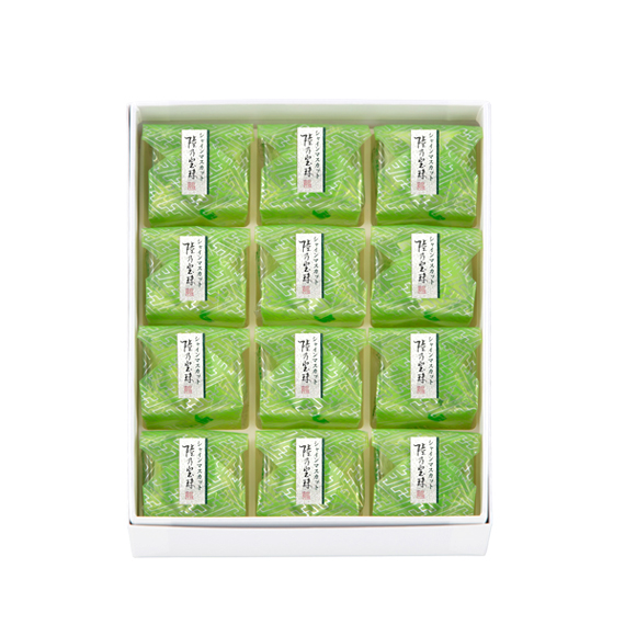 陸乃宝珠 シャインマスカット　12個入